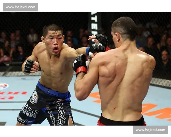 李景亮对决一龙视频解析职业搏击与传统武术真实差距揭秘全景呈现